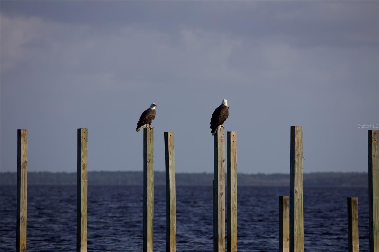 Image 40 of 44 For 2518 Fort Lane Road