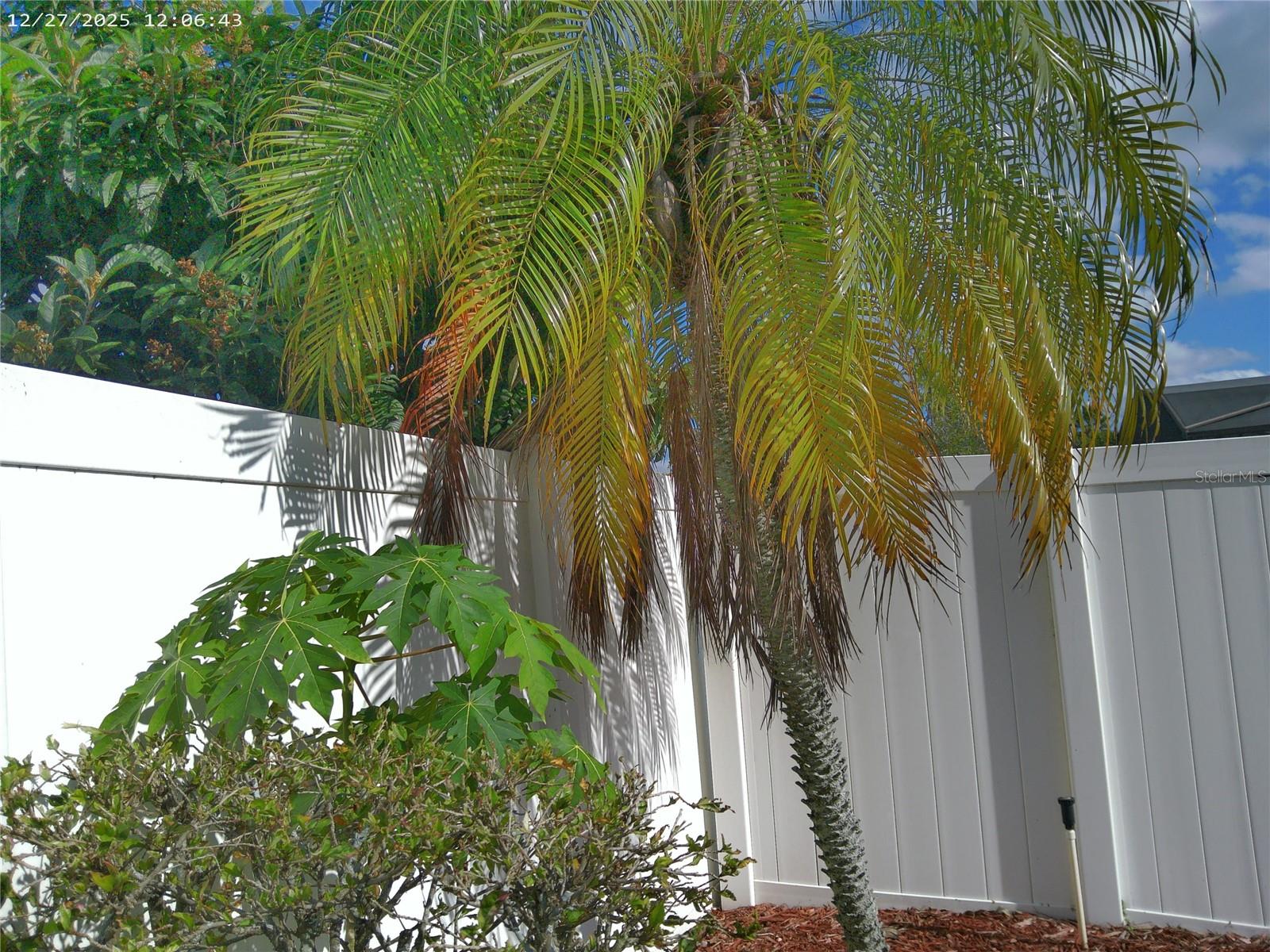 Image 42 of 55 For 11646 Sir Winston Way