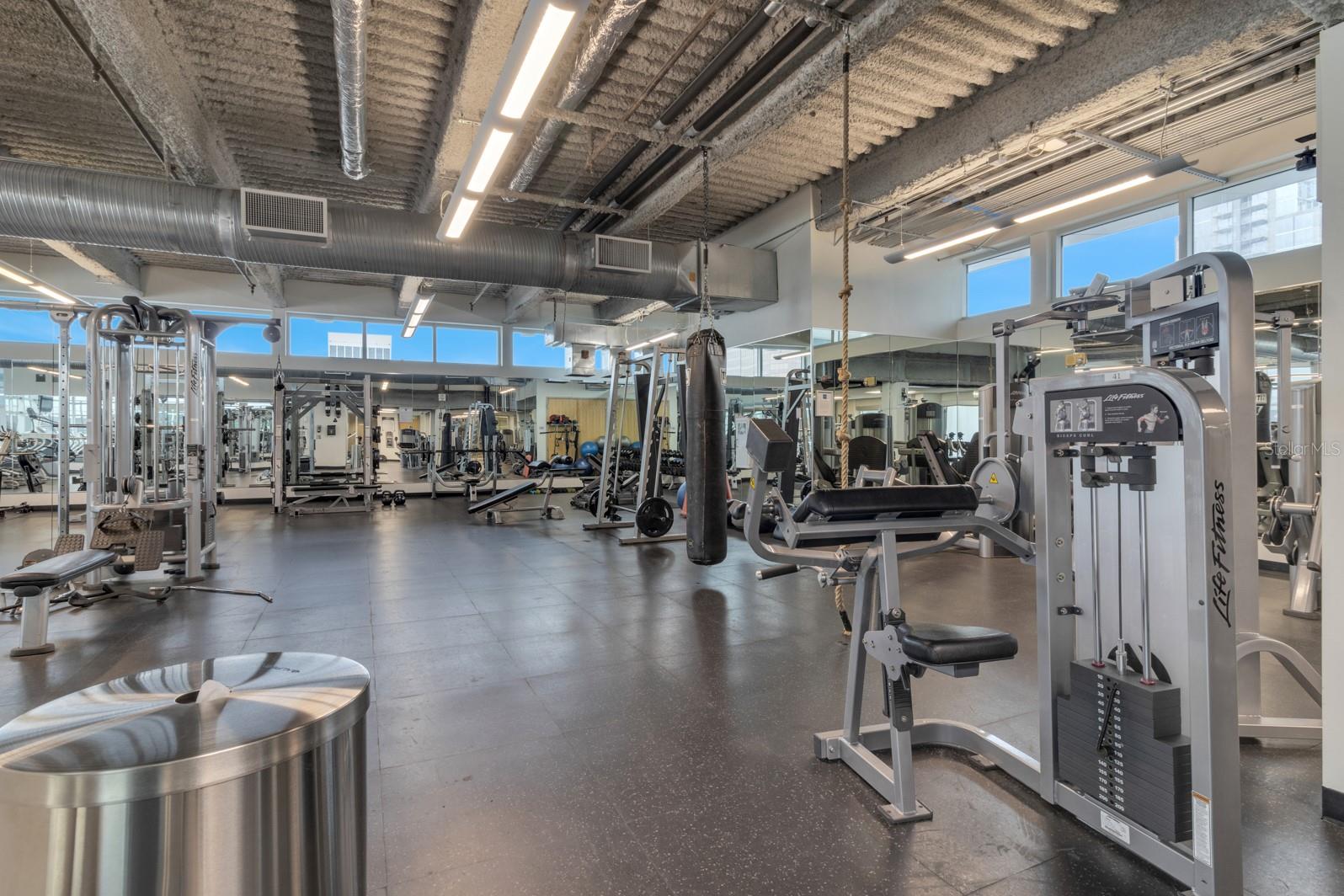 Image 16 of 61 For 150 Robinson Street 2002