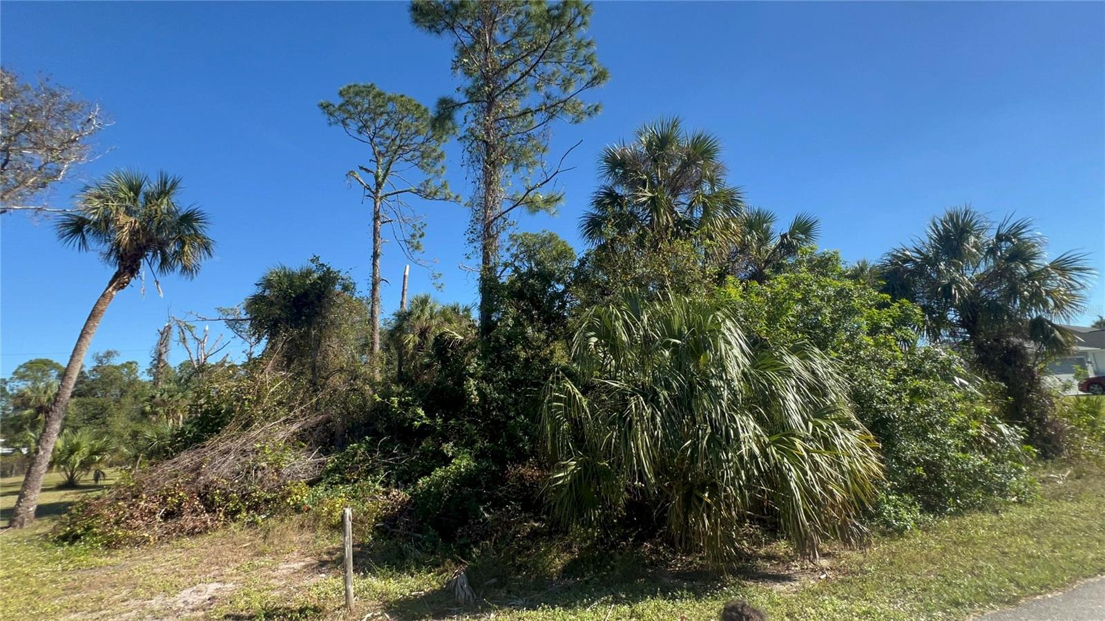 Image 4 of 5 For Easter Terrace