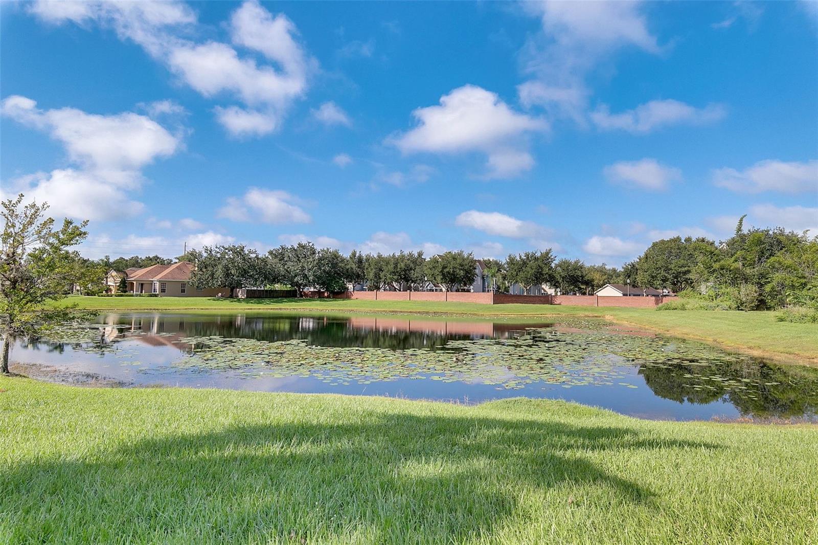 Image 29 of 31 For 2437 Cliffdale Street