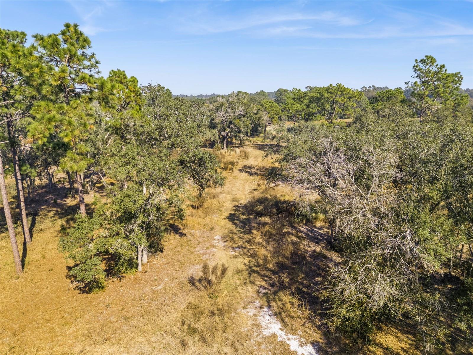 Image 11 of 16 For 6034 Feather Lane