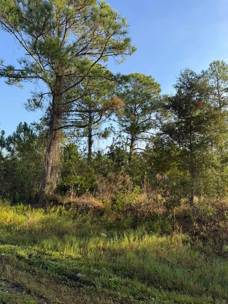 Listing Details for 8024 Cabo Drive, SEBRING, FL 33872