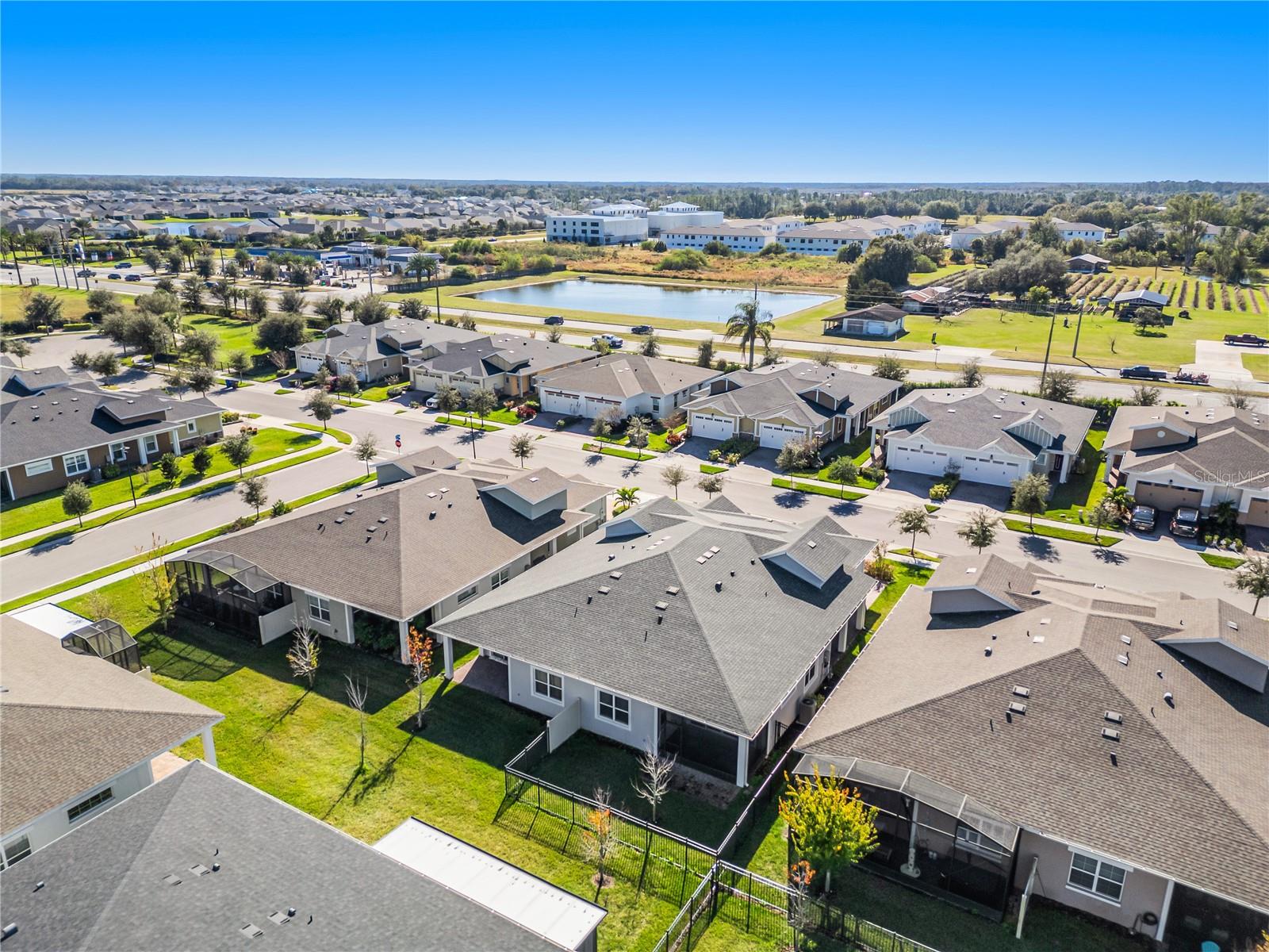 Image 28 of 48 For 2302 Datura Loop