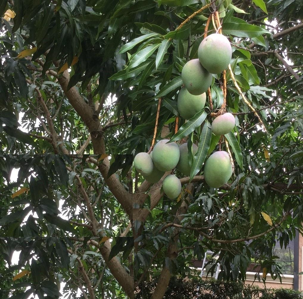 Image 24 of 35 For 9331 Southern Breeze Drive