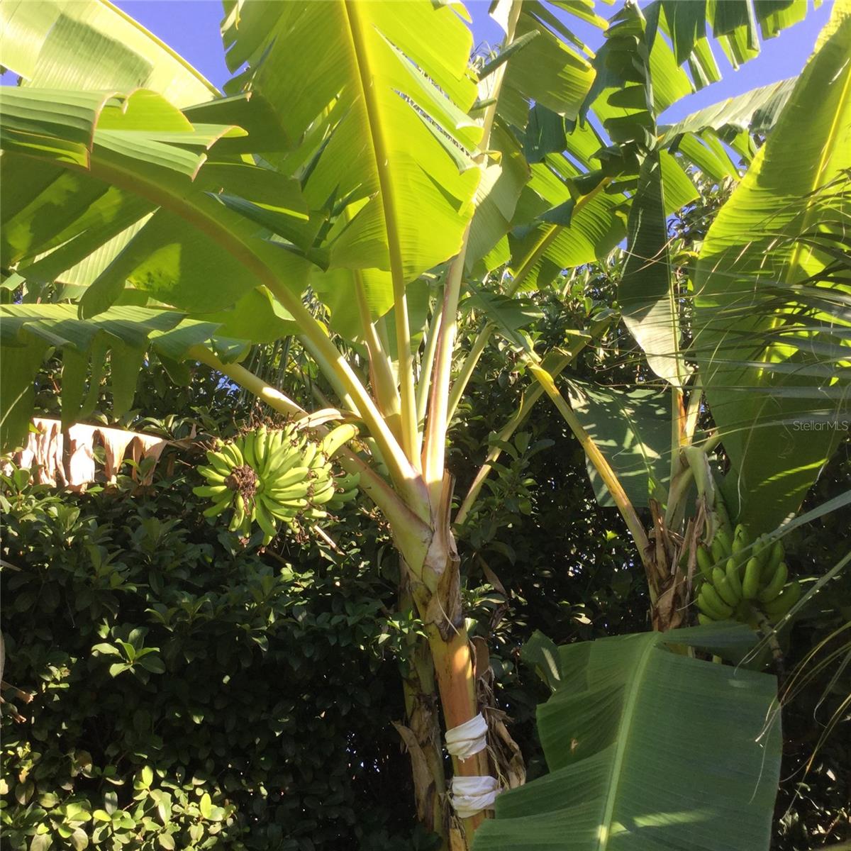 Image 25 of 35 For 9331 Southern Breeze Drive