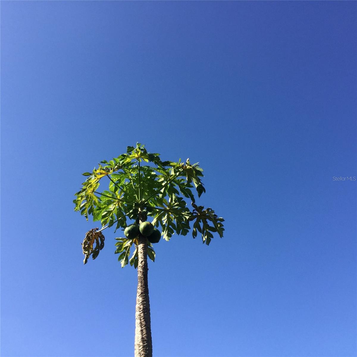 Image 26 of 35 For 9331 Southern Breeze Drive