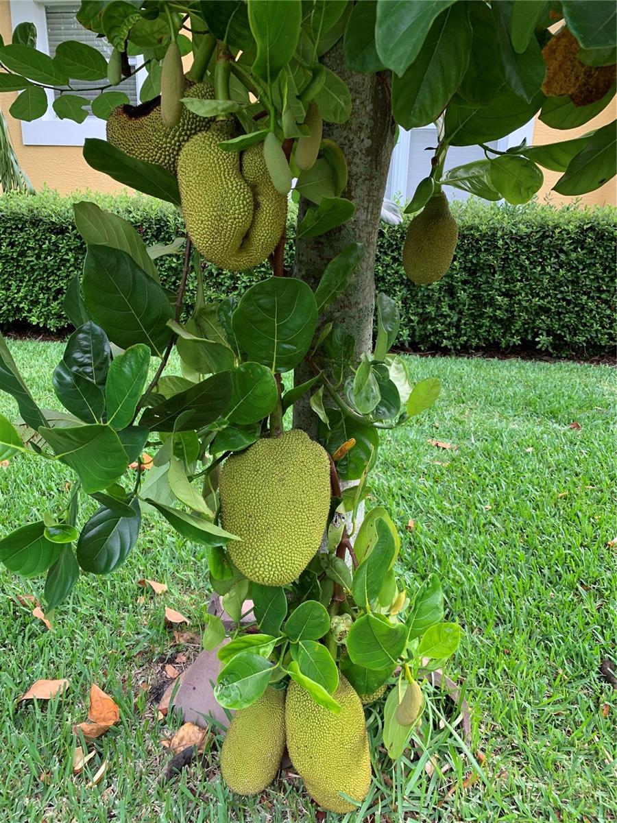 Image 27 of 35 For 9331 Southern Breeze Drive