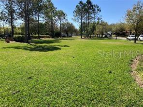 Image 27 of 31 For 11939 Citruswood Drive