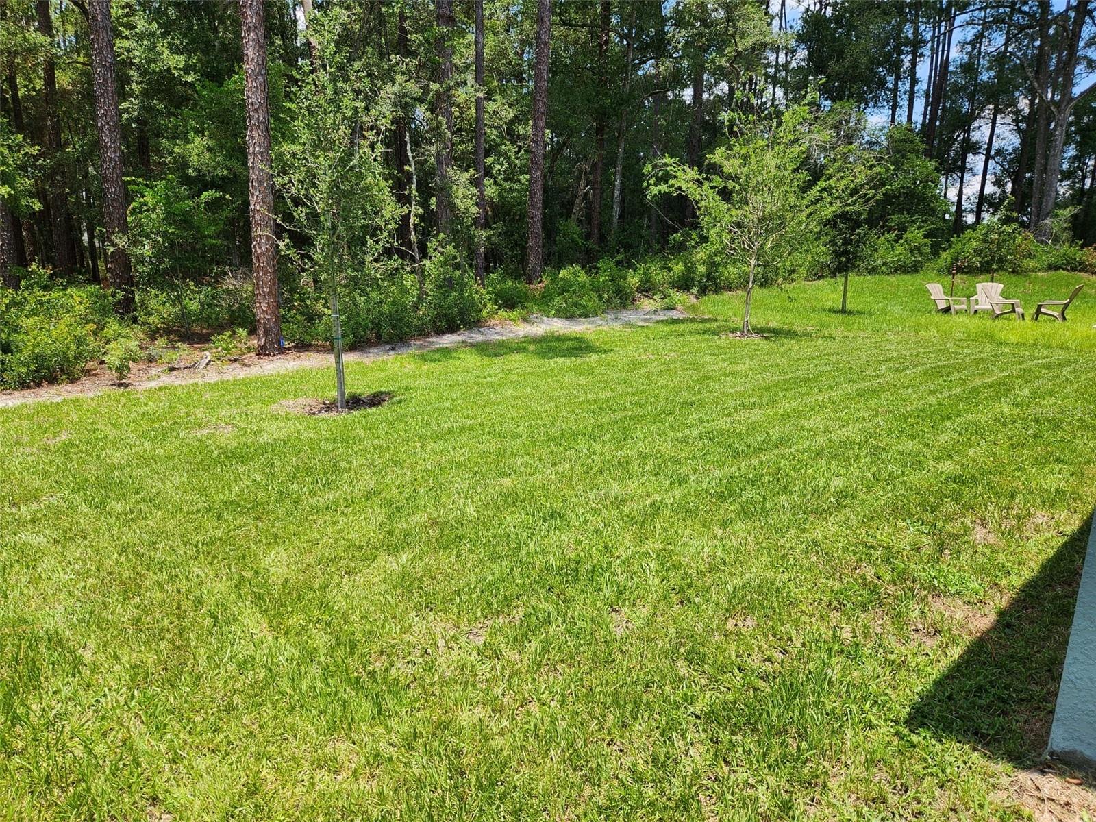 Image 2 of 23 For 505 Lady Irelyn Court