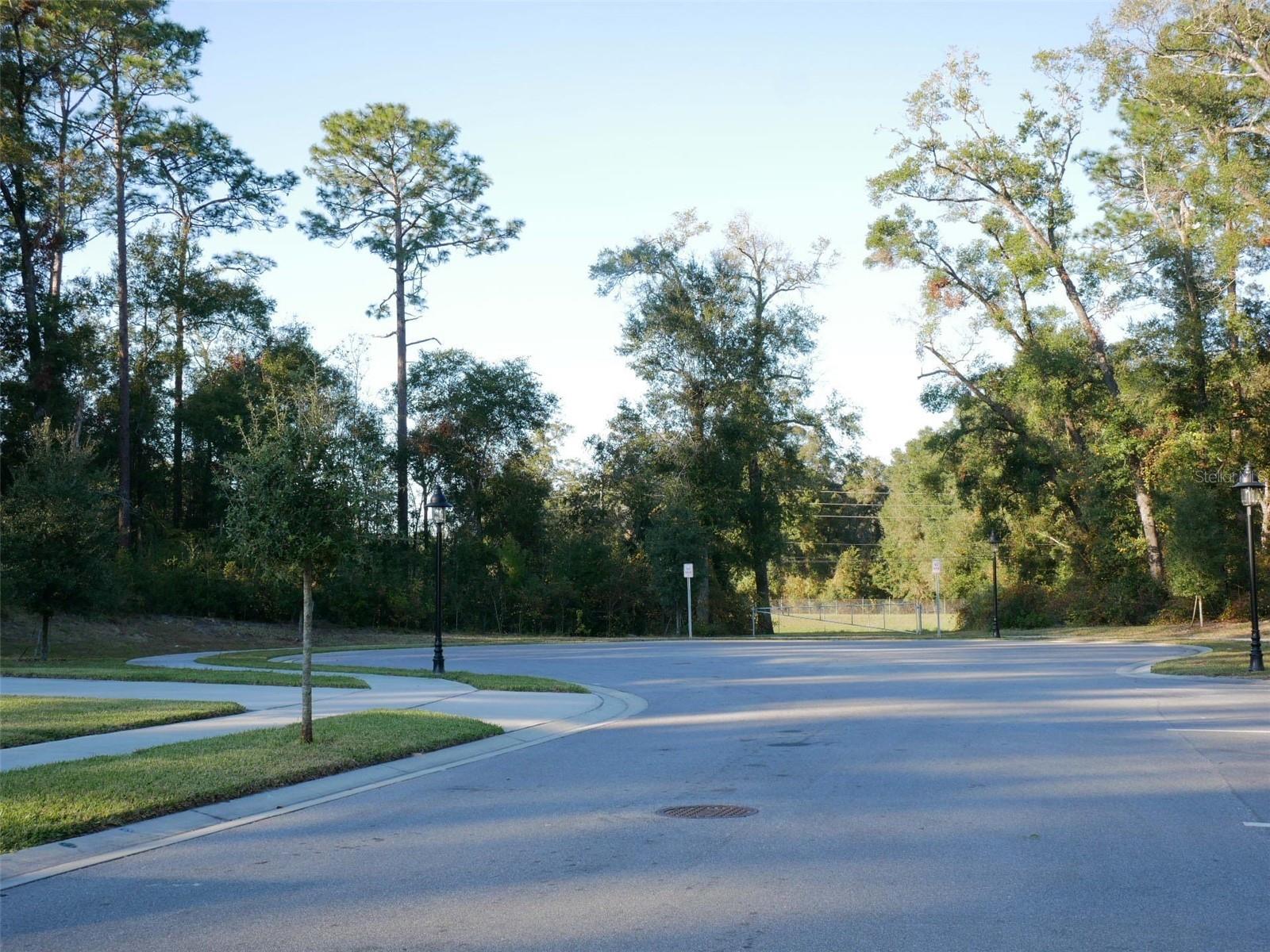 Image 9 of 23 For 505 Lady Irelyn Court