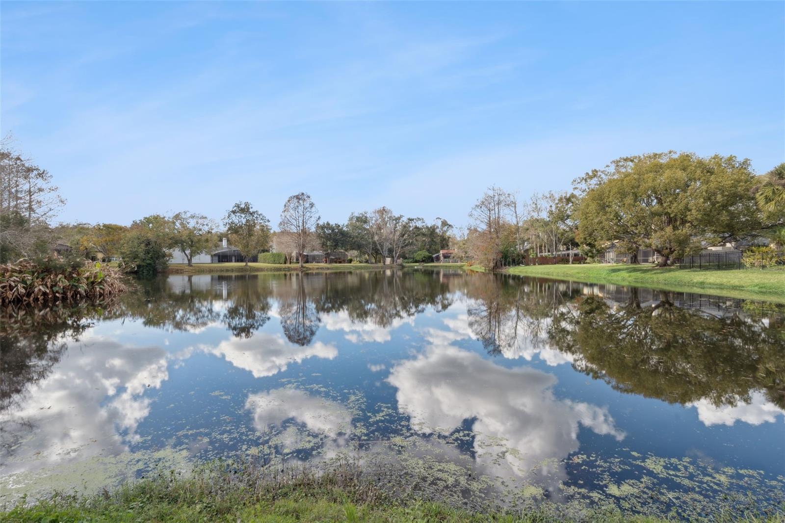 Image 4 of 59 For 1816 Seneca Boulevard