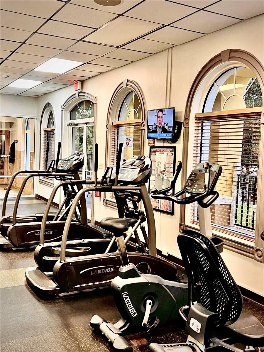 Image 46 of 57 For 416 Palermo Street