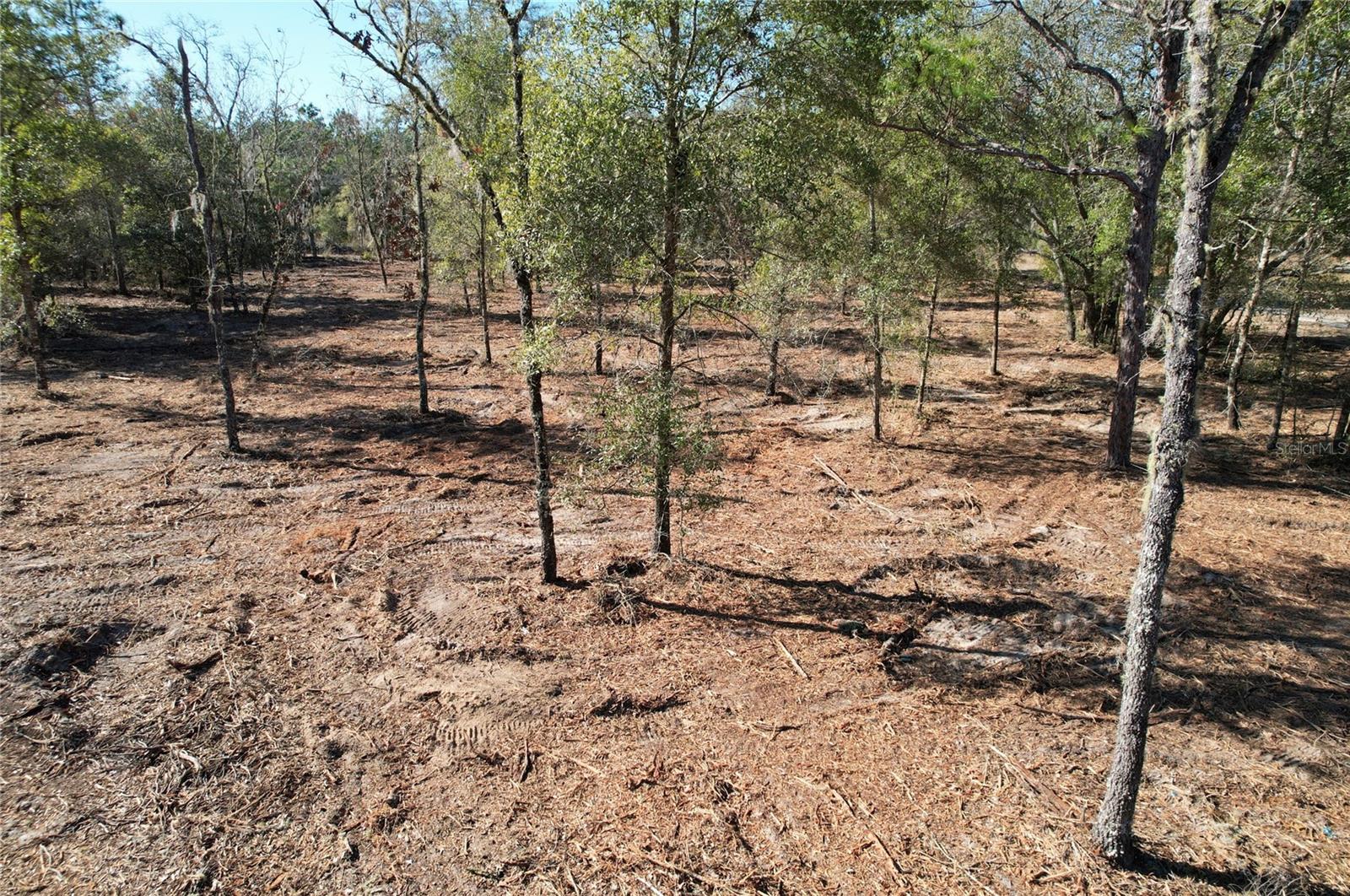 Image 5 of 8 For 116th Street