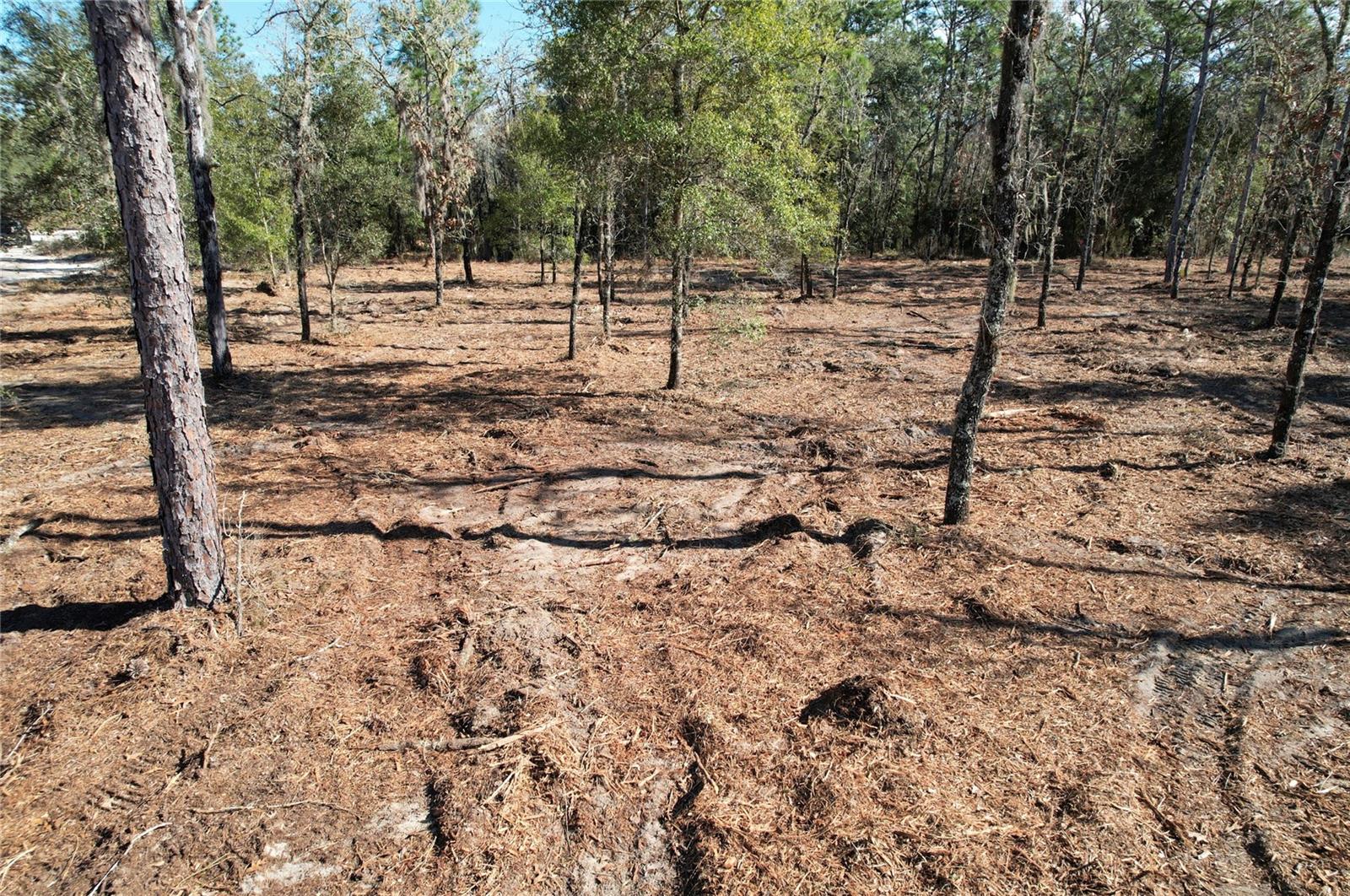 Image 6 of 8 For 116th Street