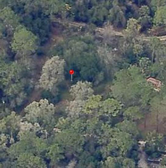 Listing Details for 18901 93rd Street, OCKLAWAHA, FL 32179