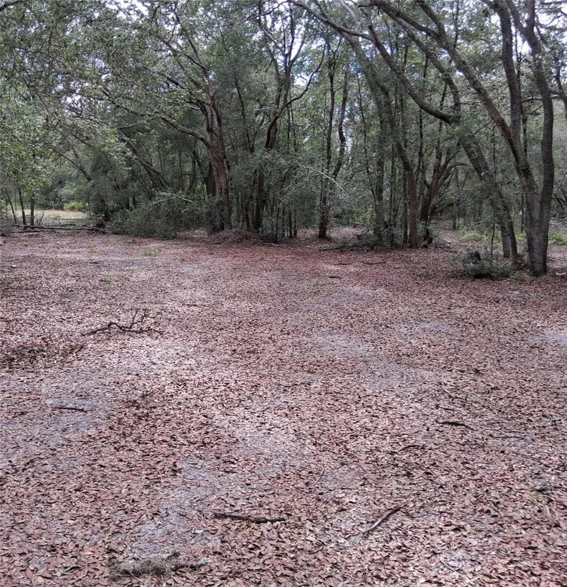 Details for 33174 Tombstone Street, WEBSTER, FL 33597