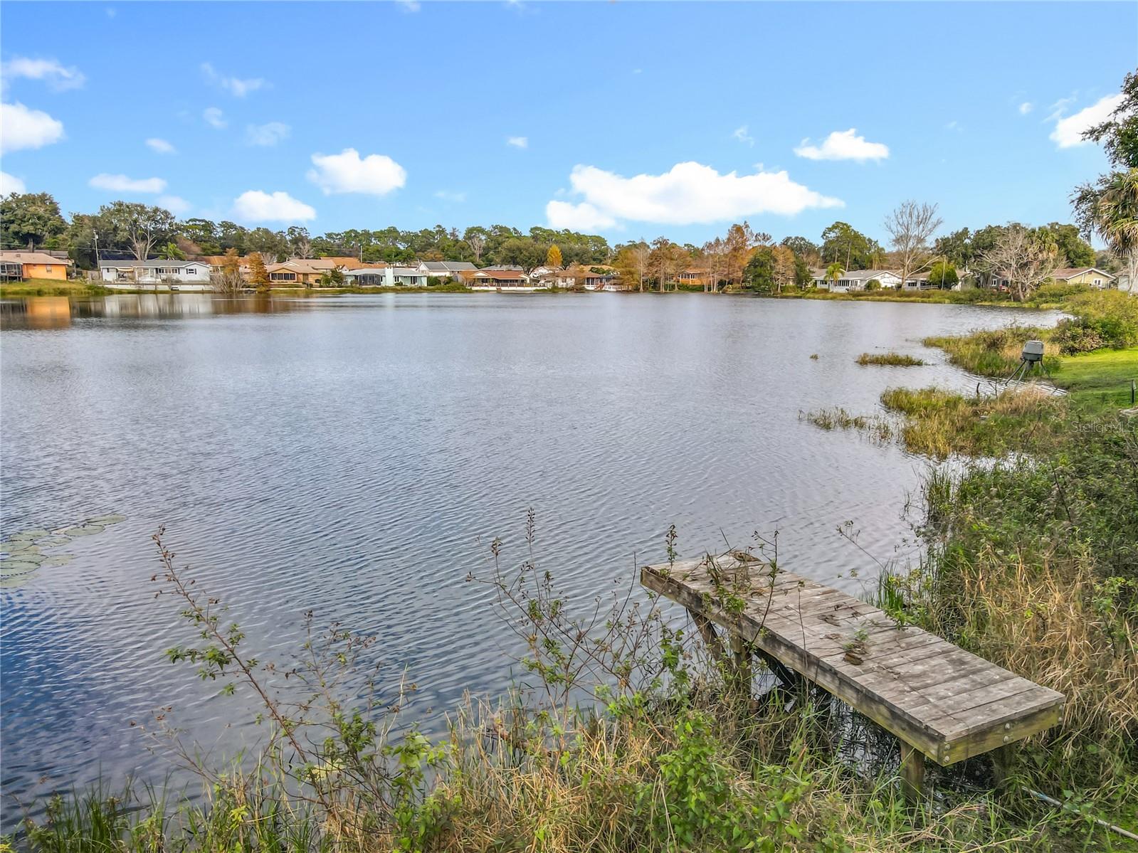 Image 46 of 50 For 28 Jasmine Drive