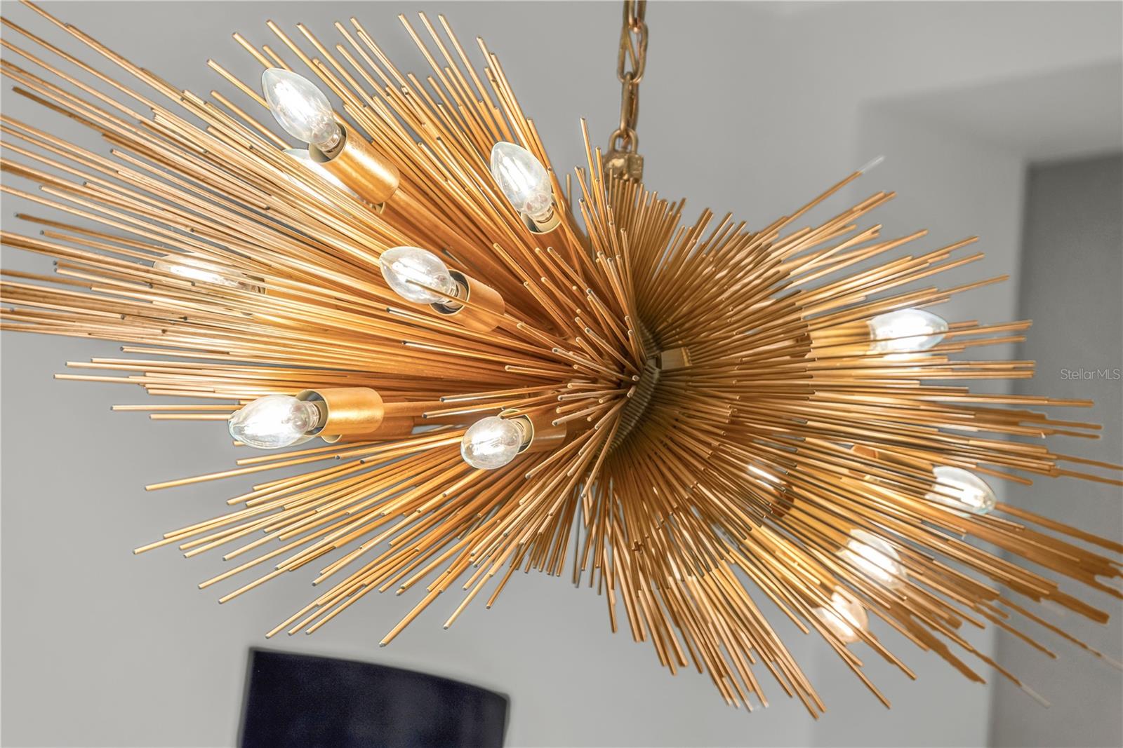 Image 14 of 86 For 637 Park Avenue