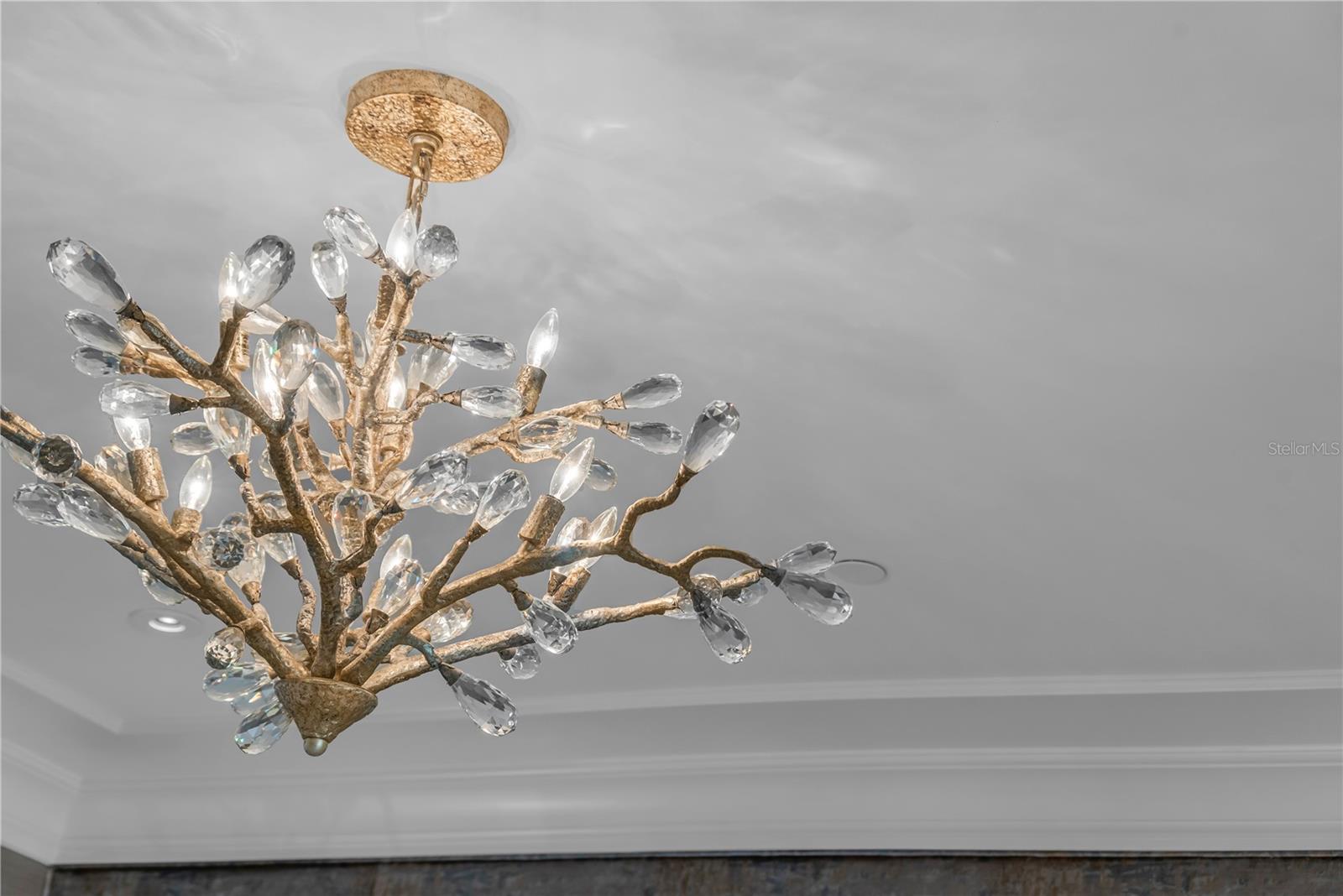 Image 52 of 86 For 637 Park Avenue