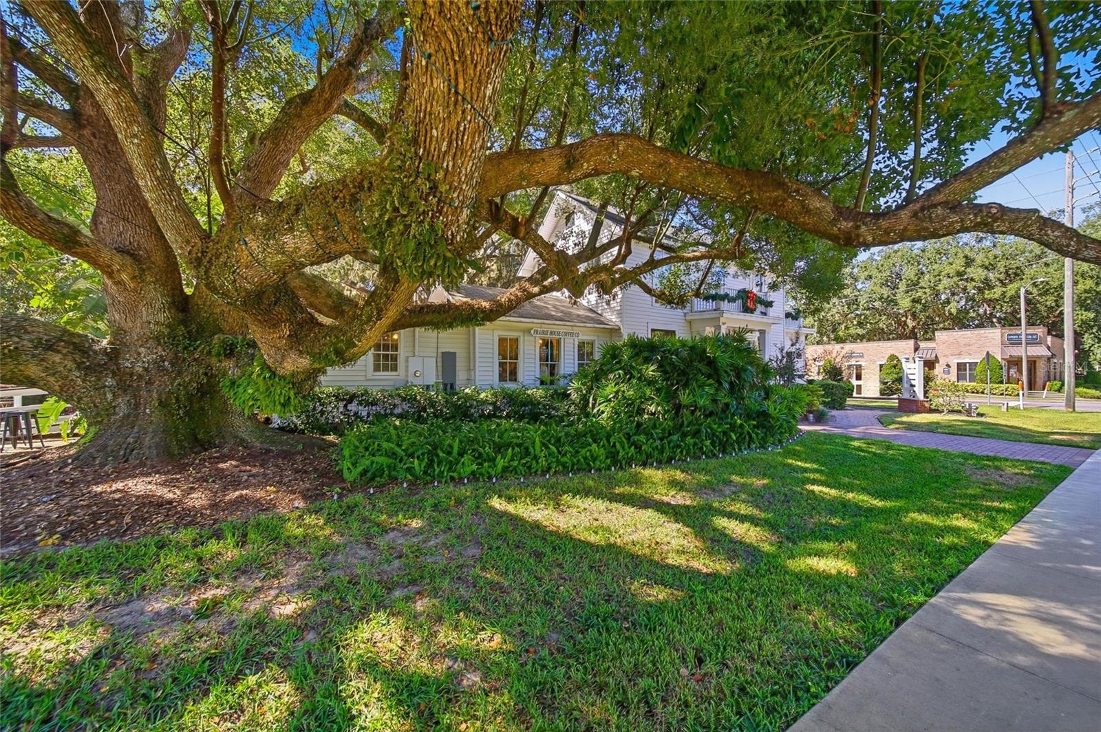 Image 16 of 20 For 321 Gulley Avenue