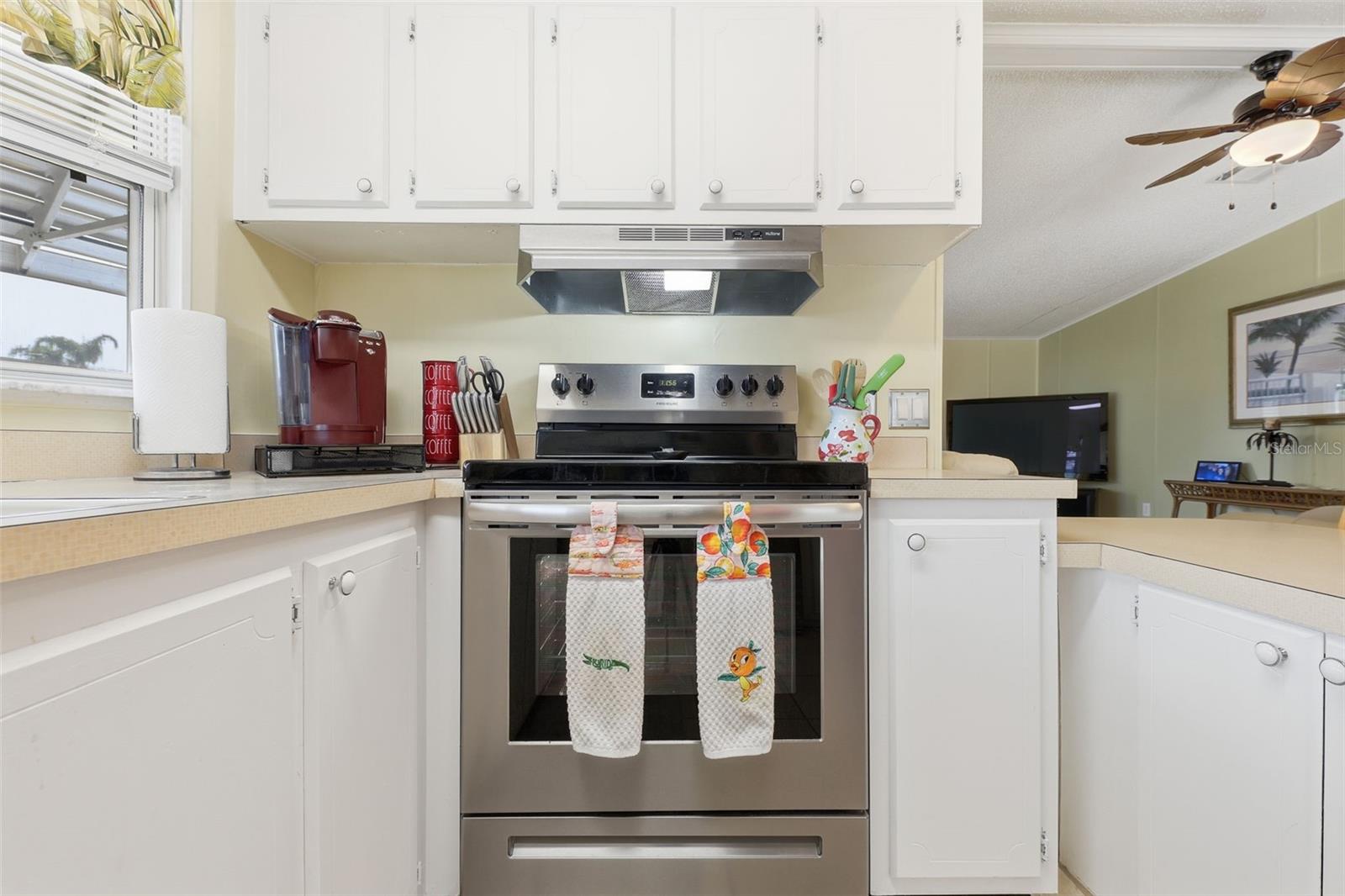 Image 12 of 24 For 532 Tivoli Park Drive