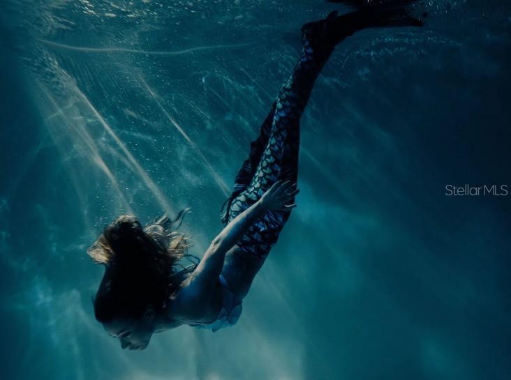 Image 25 of 25 For 16491 Mercer Road