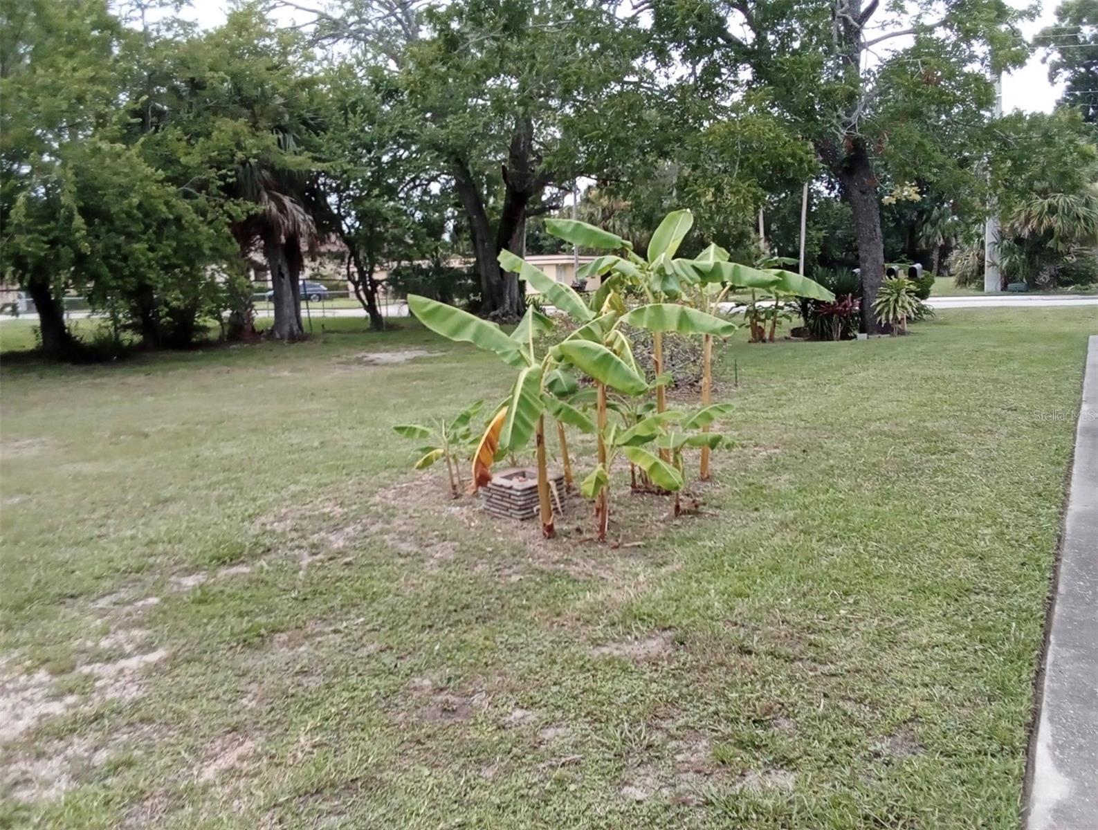 Image 6 of 14 For 555 Oak Street