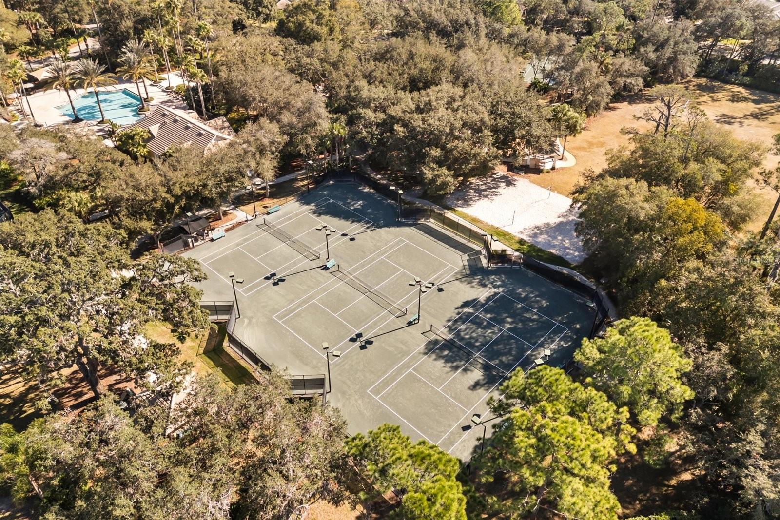 Image 64 of 67 For 3311 Horseshoe Bend Court