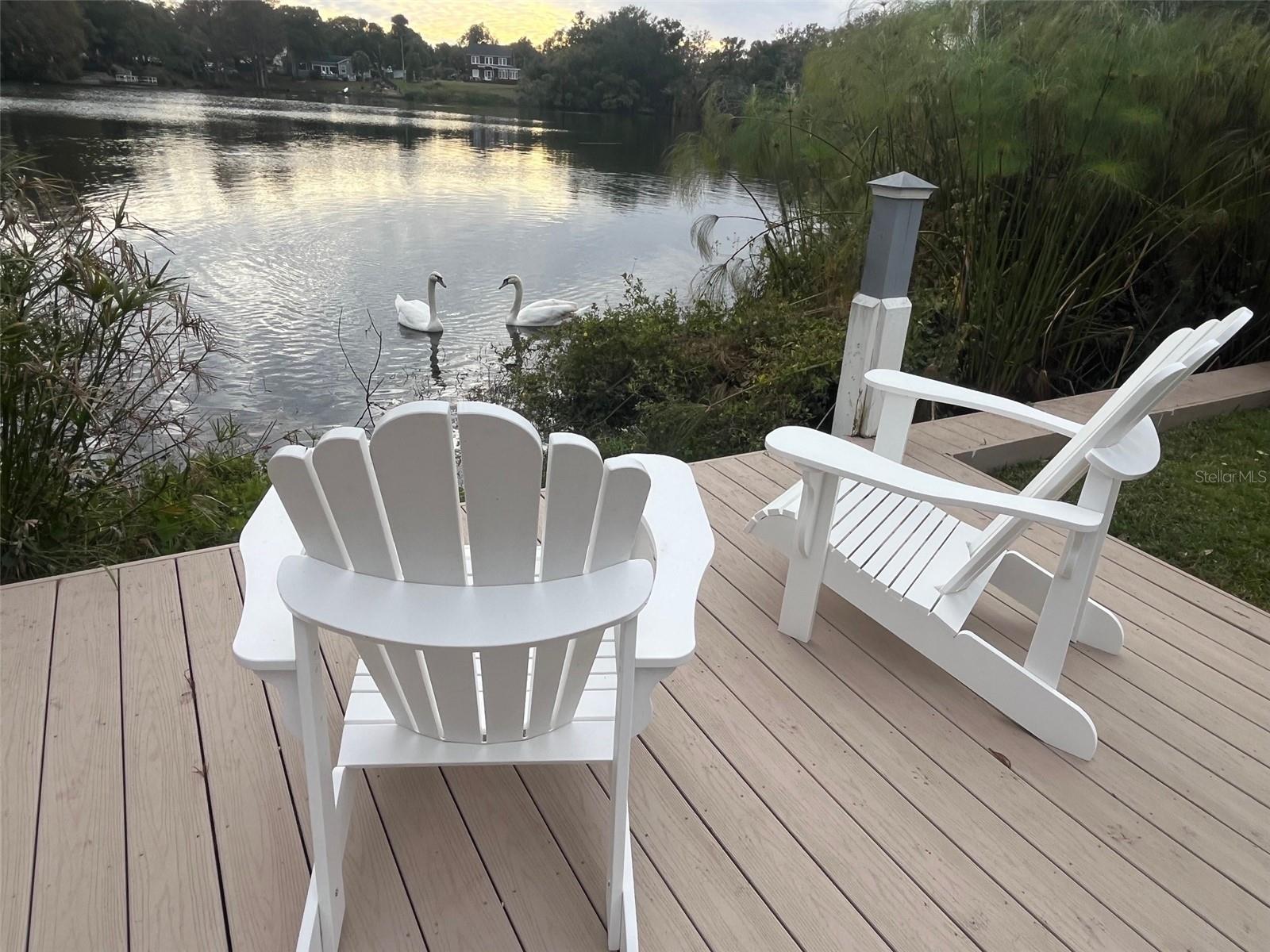 Image 28 of 28 For 228 Miller Street