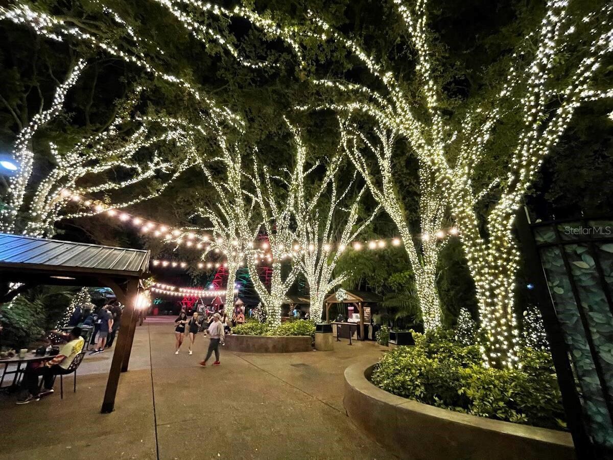 Image 61 of 69 For 6728 Sea Ranch Dr