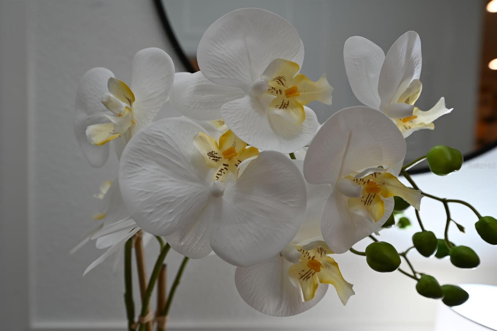 Image 22 of 100 For 2956 Penelope Loop