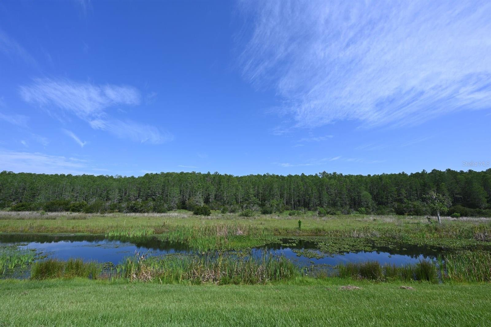 Image 90 of 100 For 2956 Penelope Loop