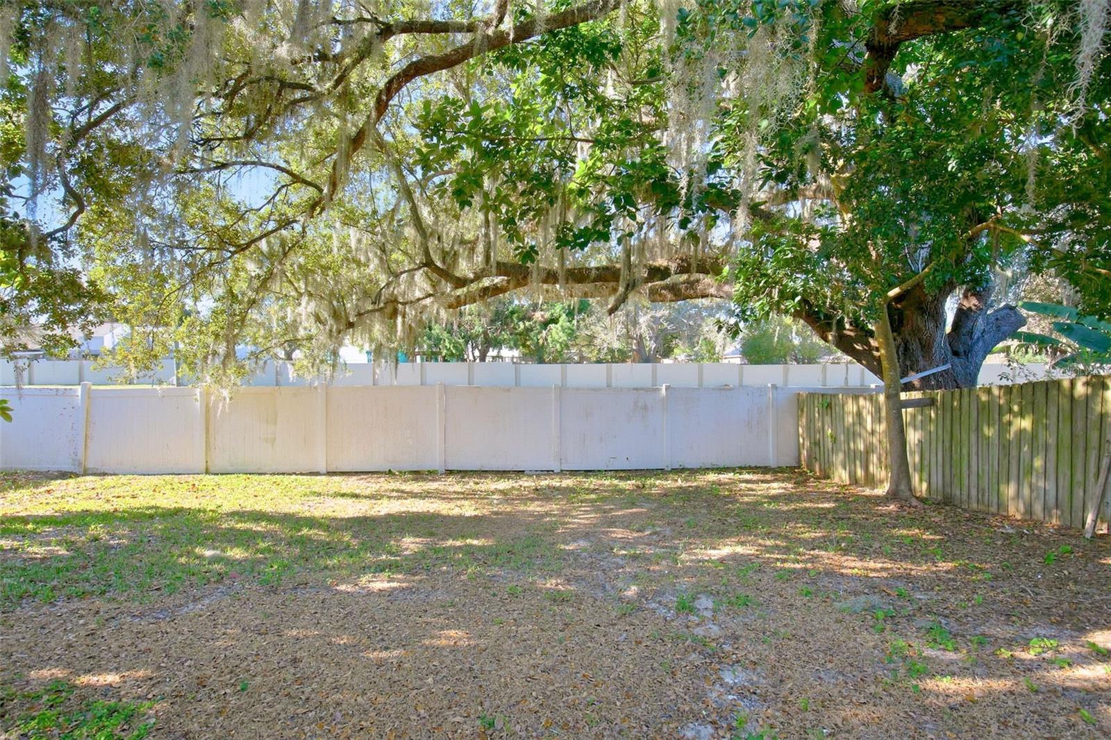 Image 35 of 37 For 305 Abigail Road