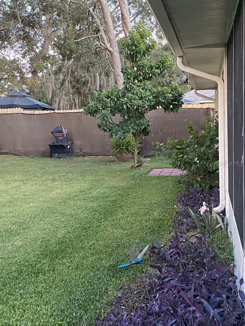 Image 28 of 30 For 8437 Gibralter Street