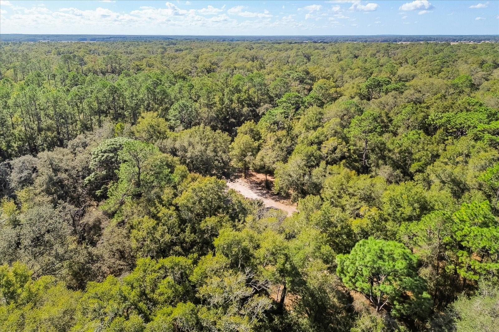 Image 30 of 32 For 10385 152nd Place