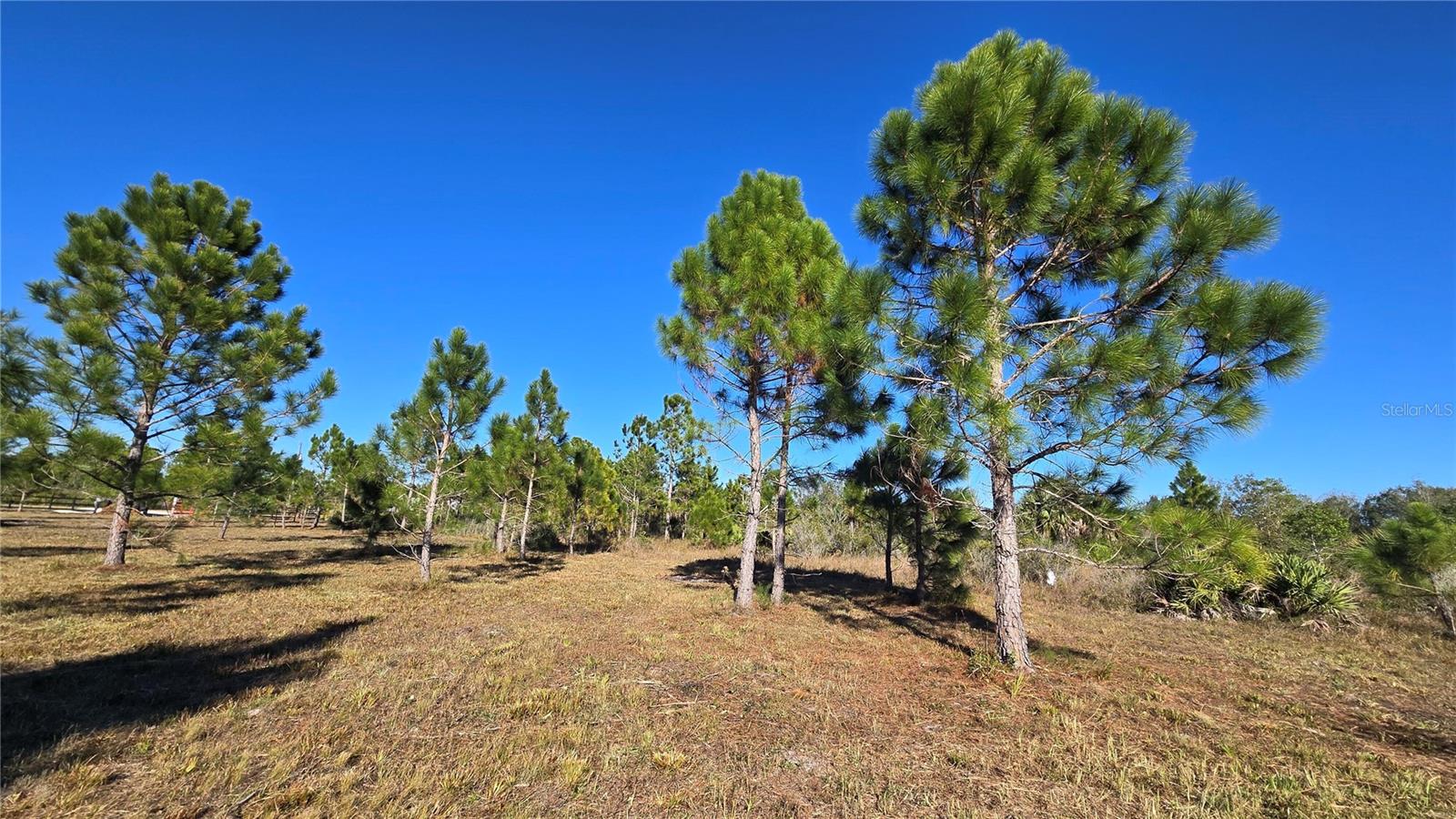 Image 2 of 9 For 17718 266th Street