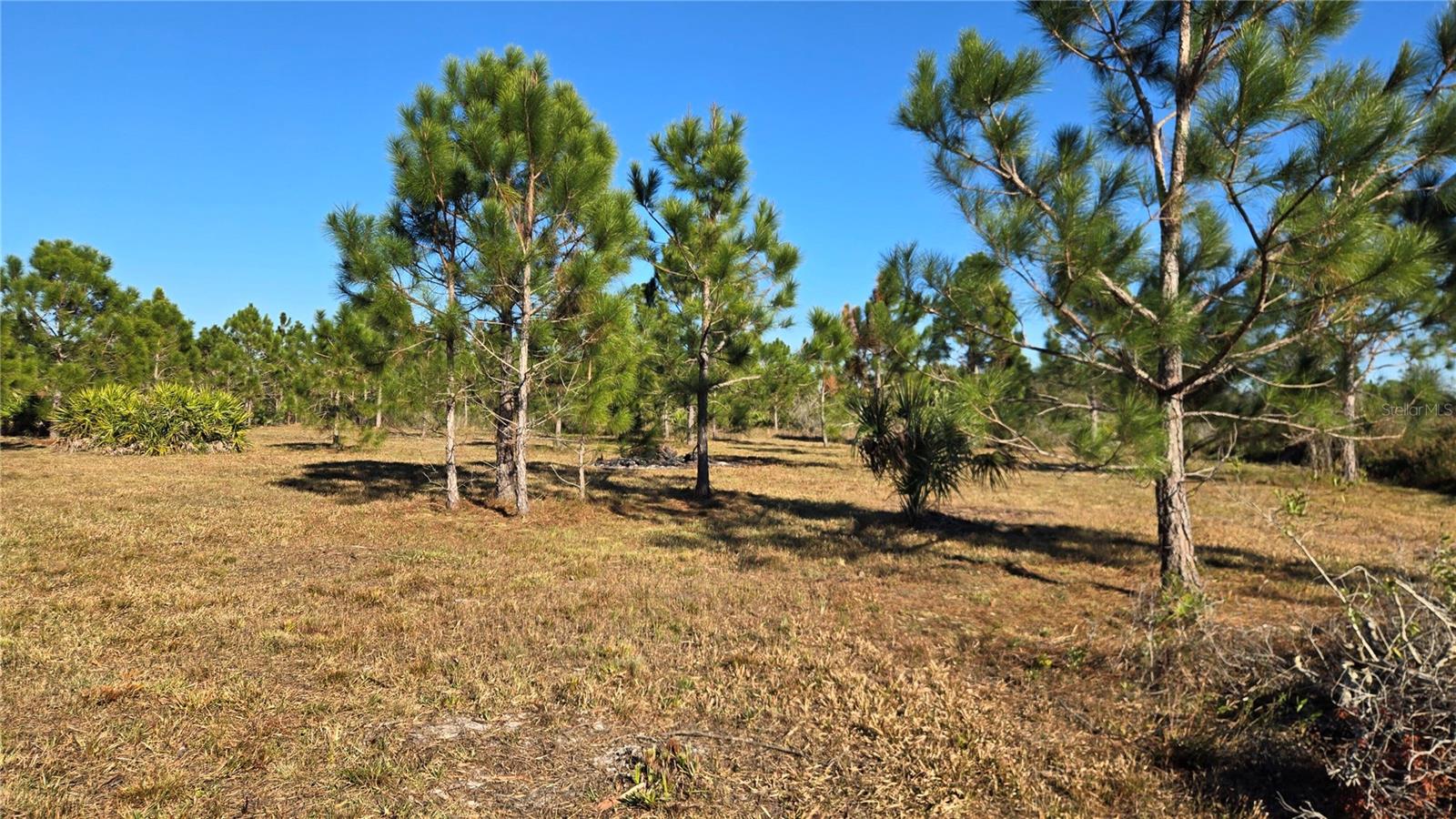 Image 5 of 9 For 17718 266th Street