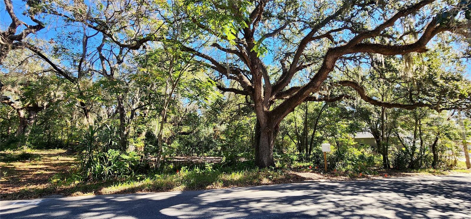 Image 2 of 3 For 1016 Nebraska Street