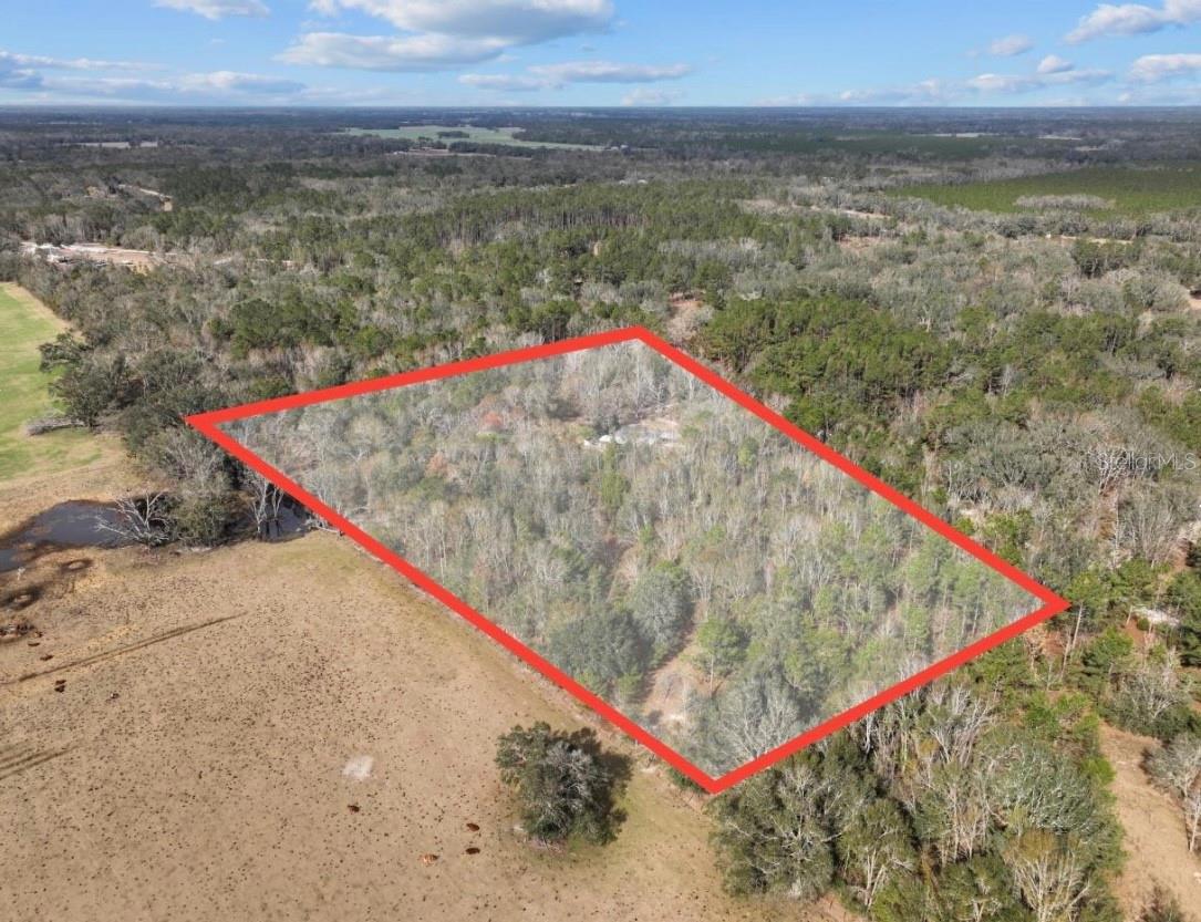 Image 43 of 50 For 11975 162nd Terrace