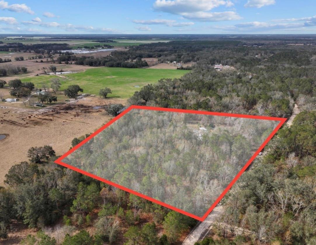 Image 47 of 50 For 11975 162nd Terrace