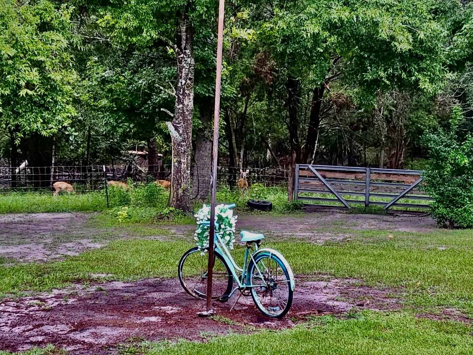 Image 50 of 50 For 11975 162nd Terrace