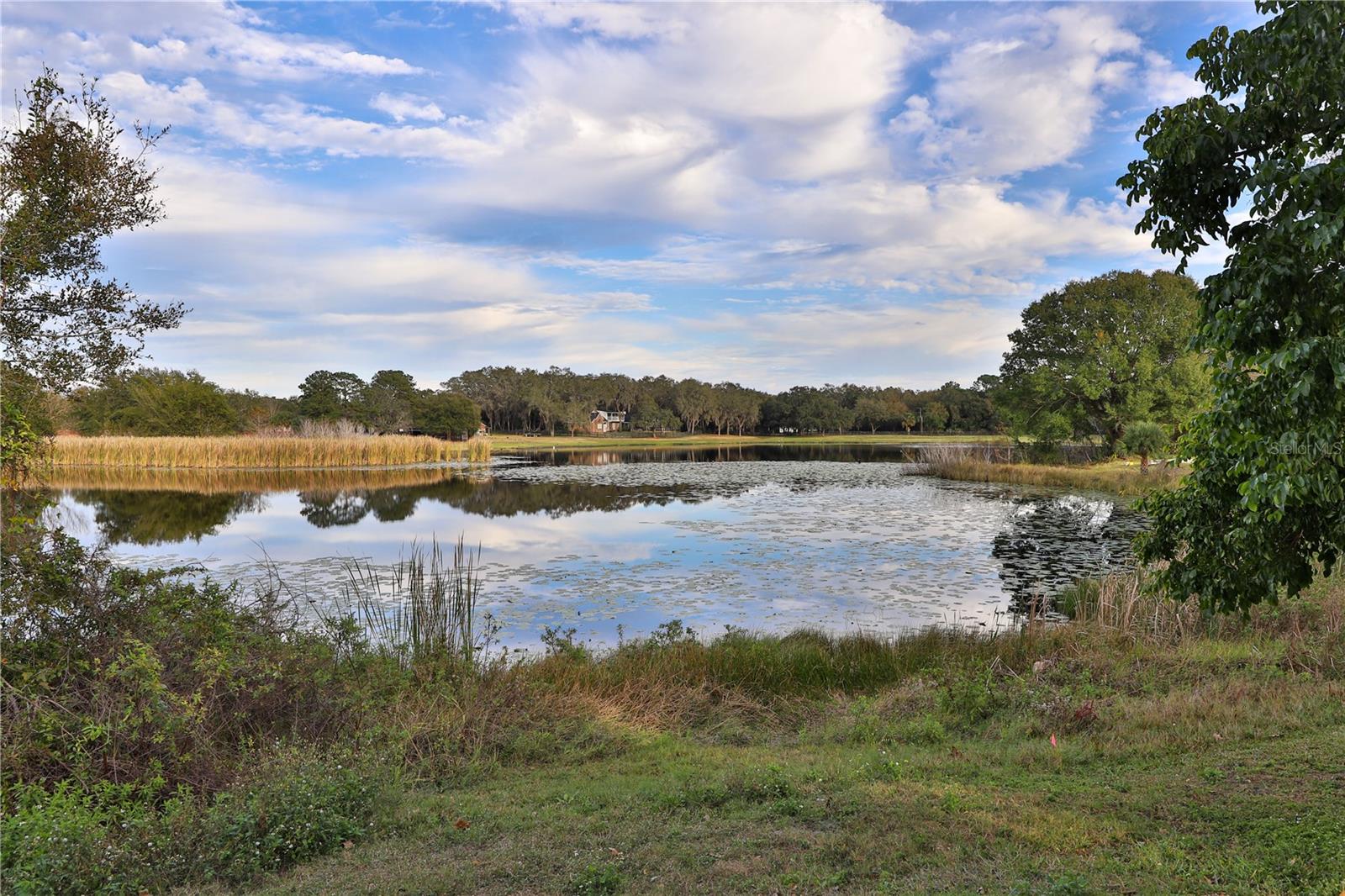 Image 16 of 27 For 9872 Bubbling Brook Court