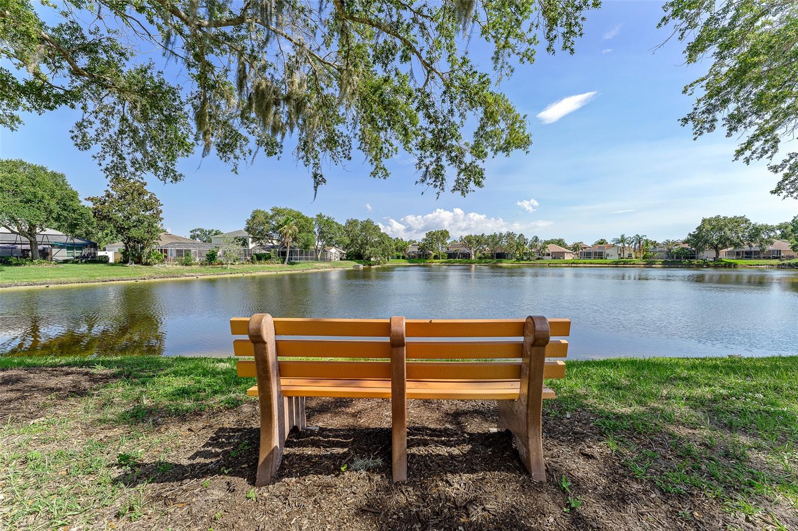 Image 61 of 69 For 1291 Blackrush Drive