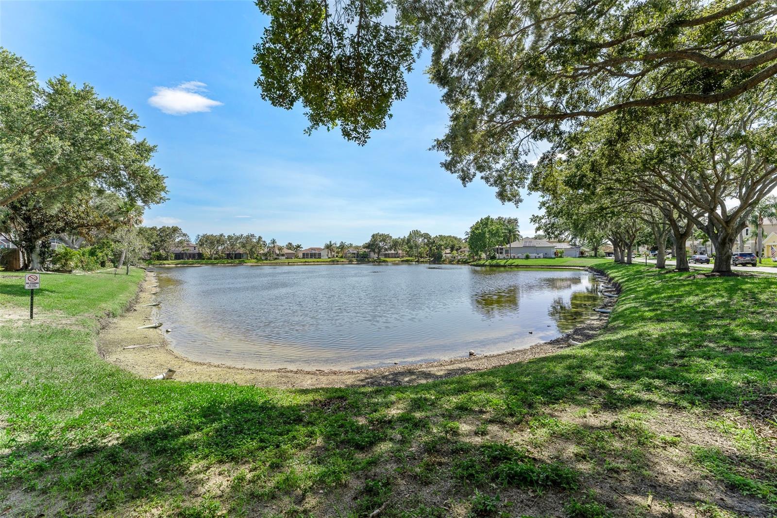 Image 62 of 69 For 1291 Blackrush Drive