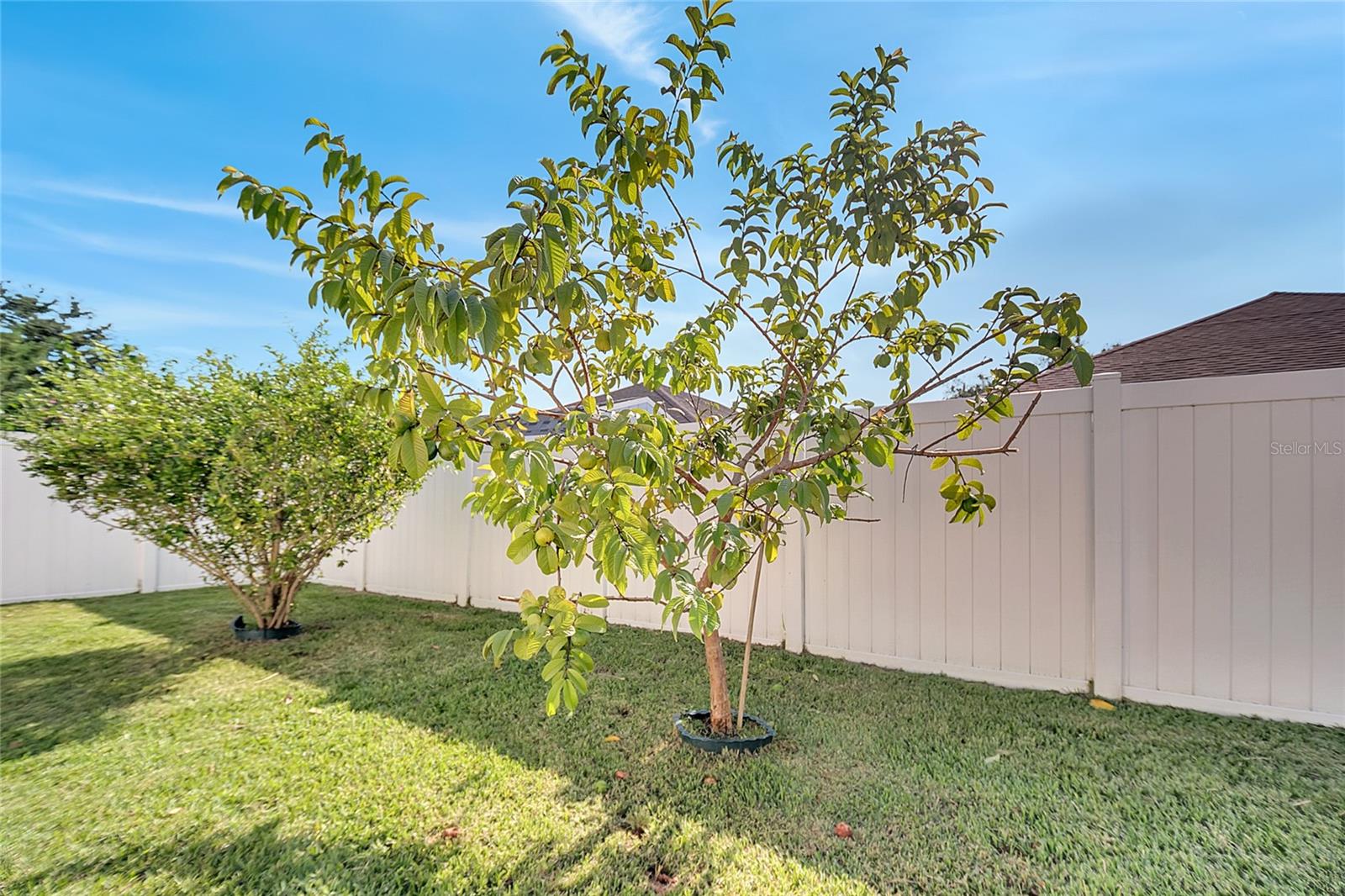 Image 62 of 64 For 3030 Holland Drive