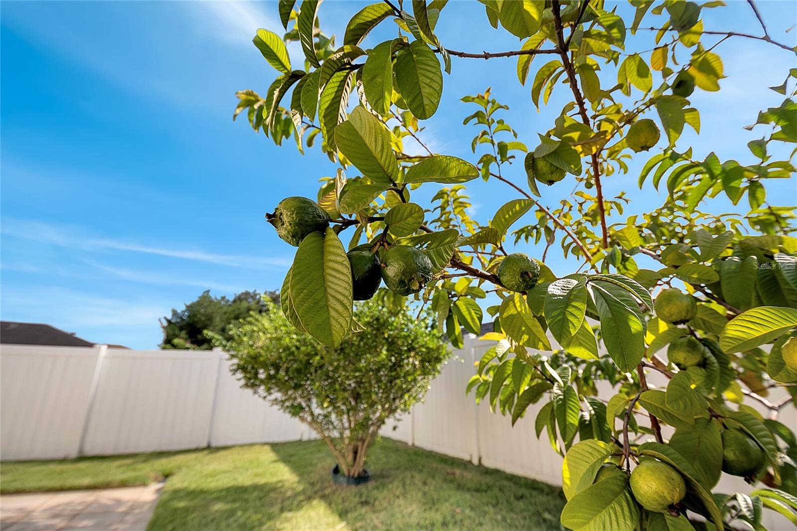 Image 63 of 64 For 3030 Holland Drive