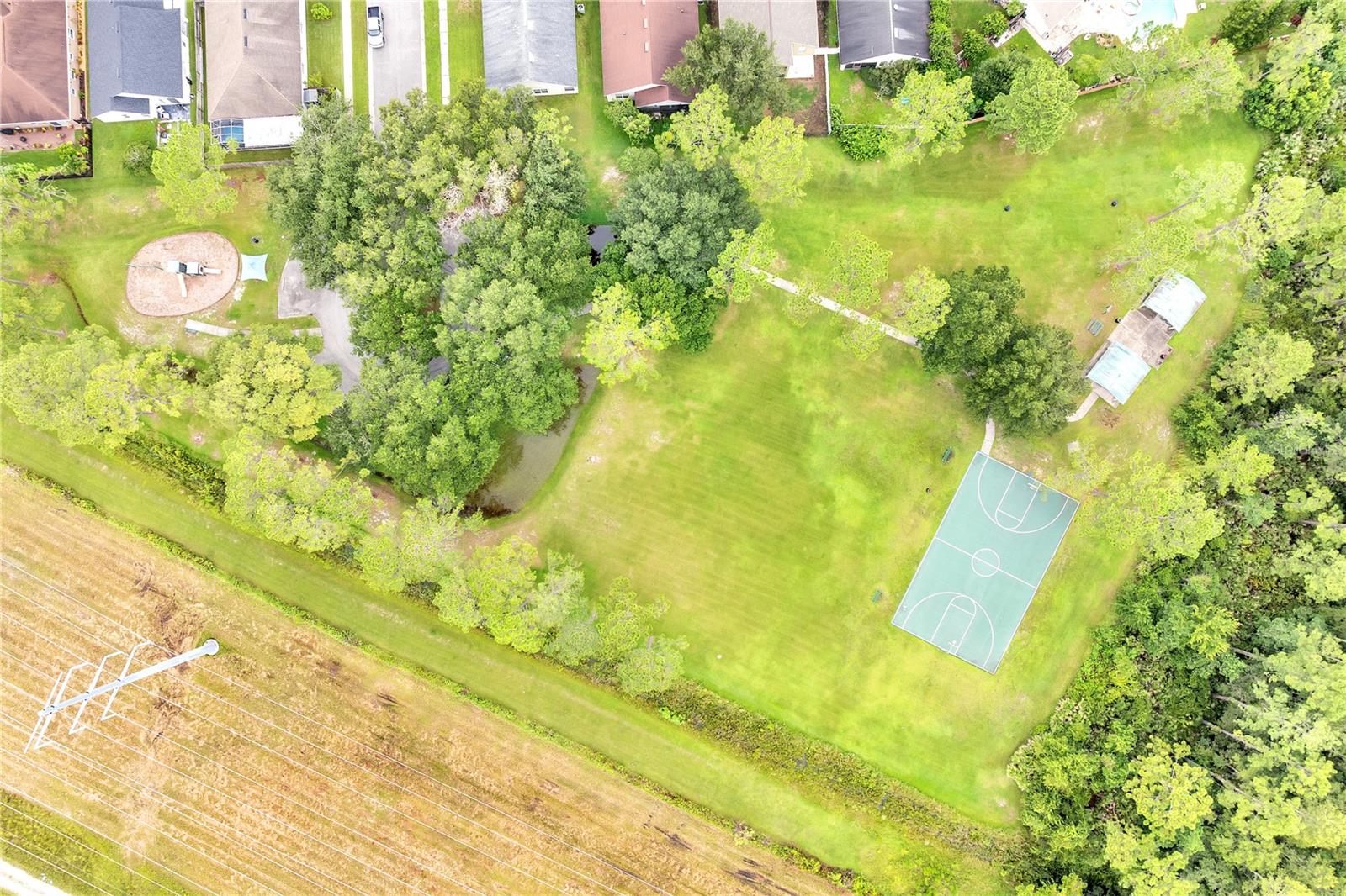 Image 9 of 64 For 3030 Holland Drive