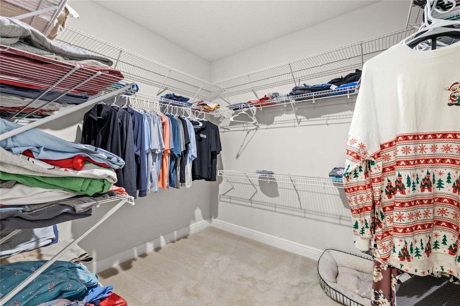 Image 30 of 55 For 14673 Glade Hill Park Way