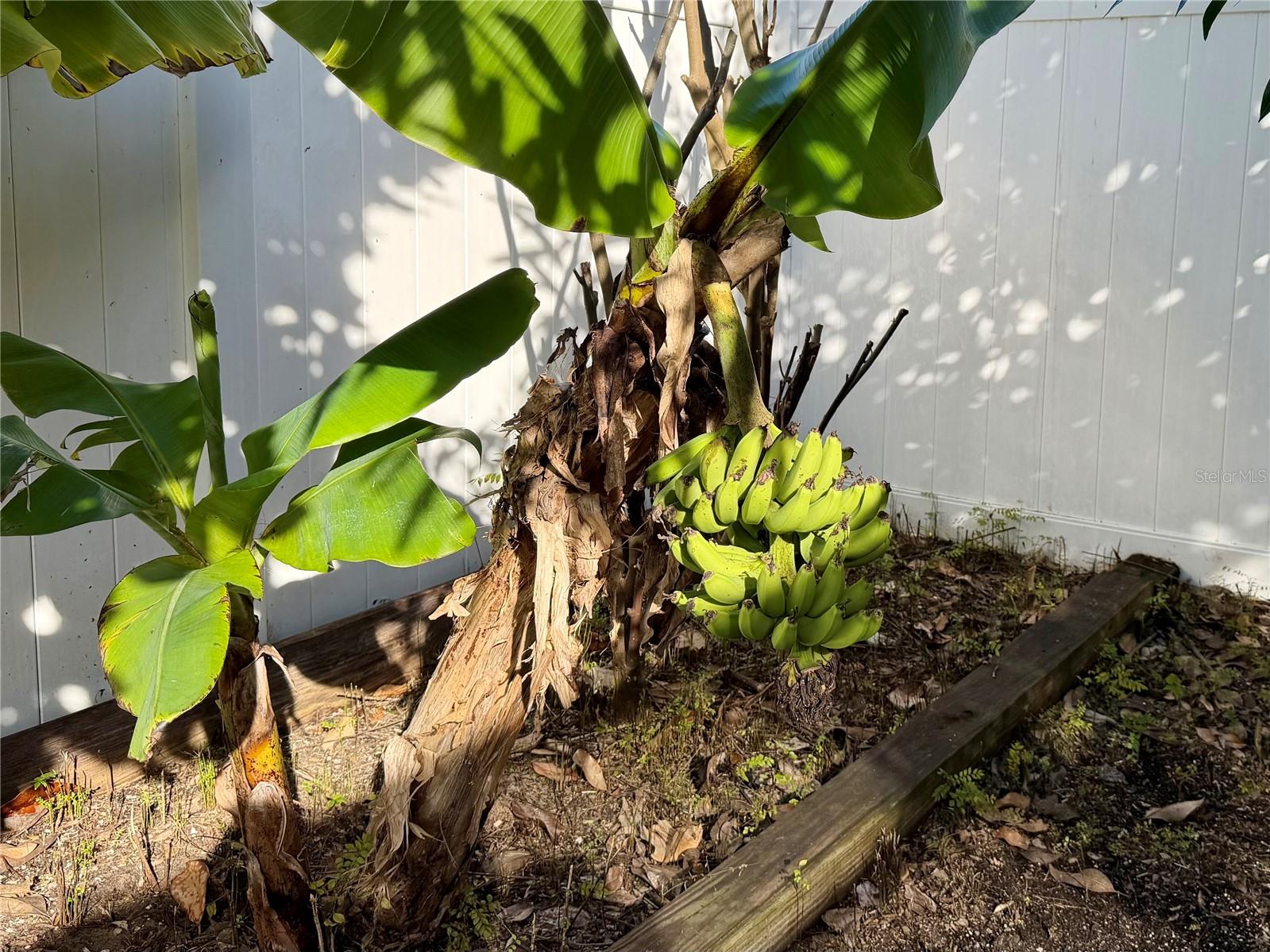 Image 33 of 33 For 2069 Nerva Road